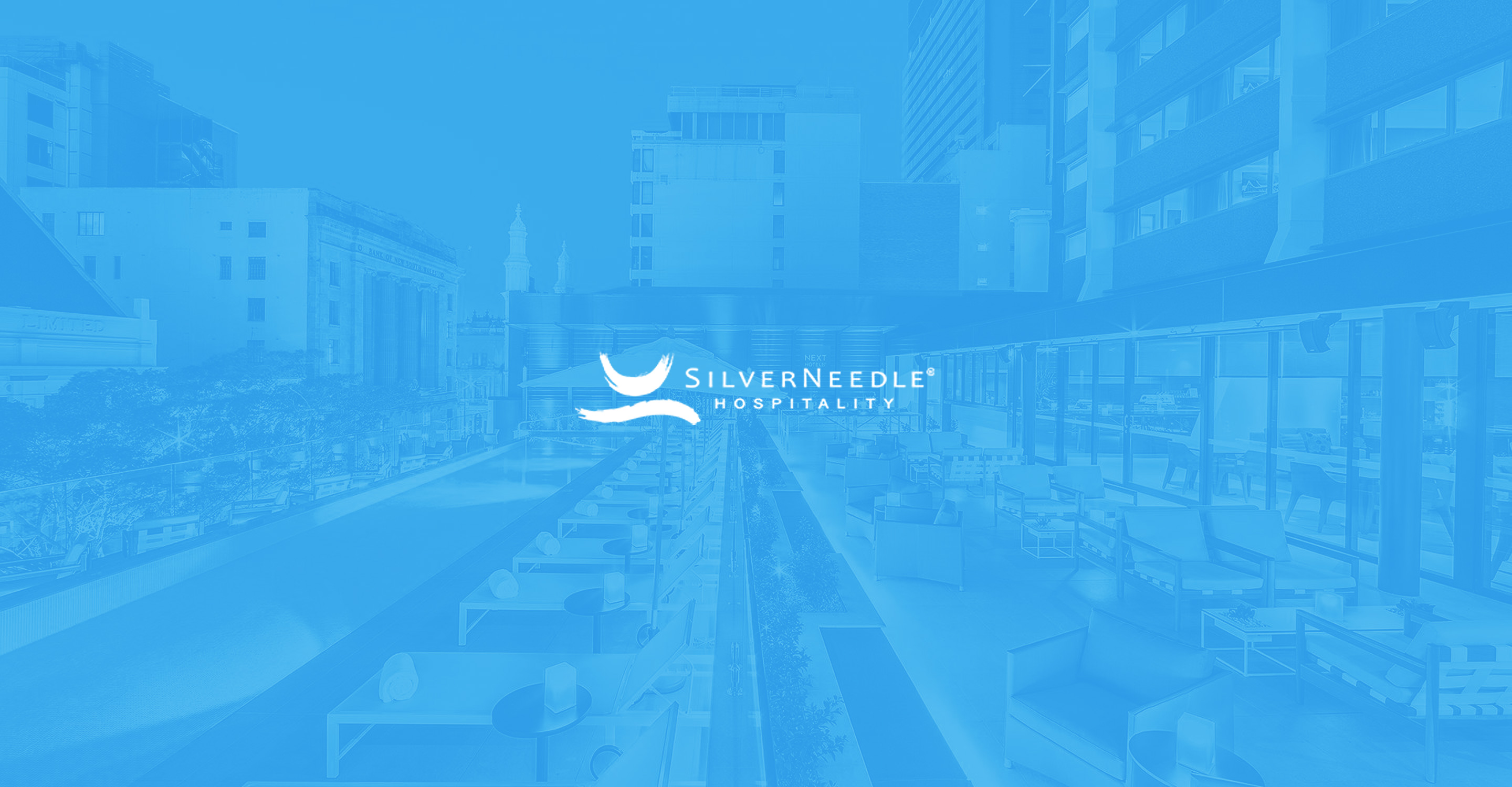 SilverNeedle Theme